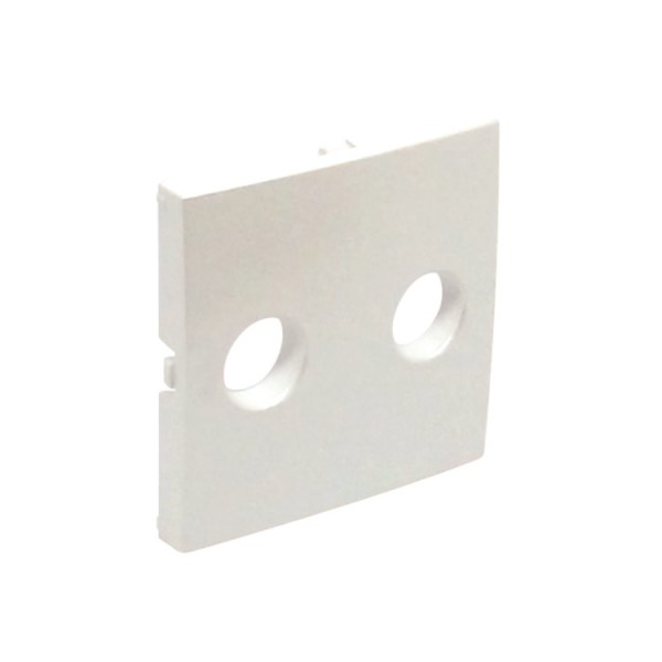 Hangszórócsatlakozó fedlap jég