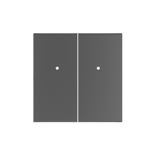 Billenőlap csillár grafit (RFWB-40/G-hez