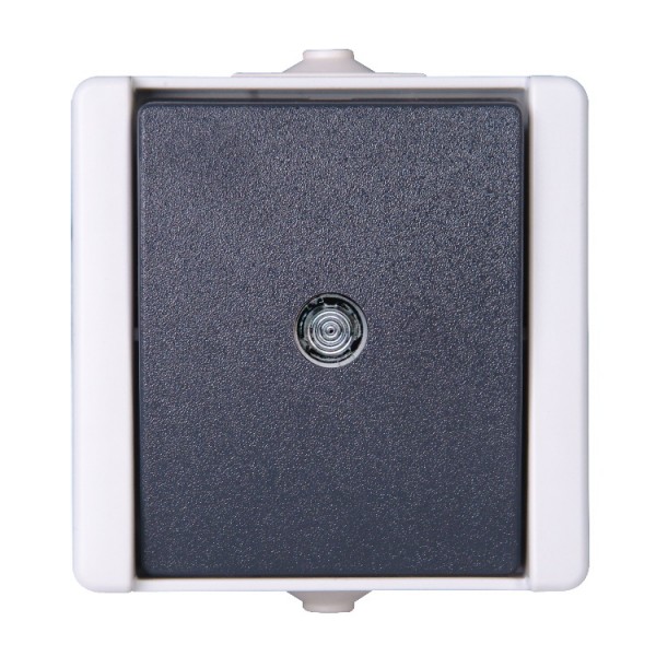 Kapcsoló fk 1P nyomó+glimm szürke IP44