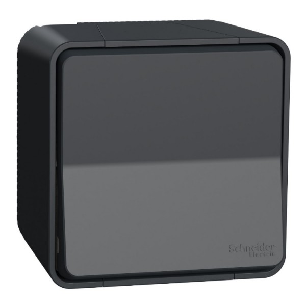 Kapcsoló fk kereszt grafit IP55