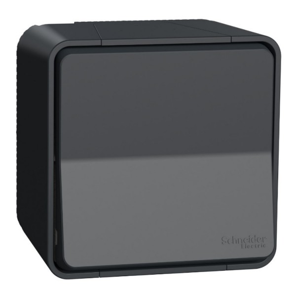 Kapcsoló fk 2p grafit IP55