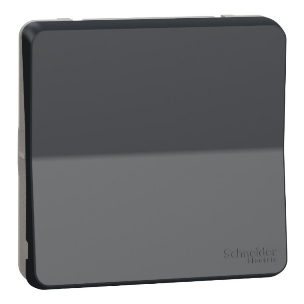 Kapcsoló s 1P nyomó grafit IP55