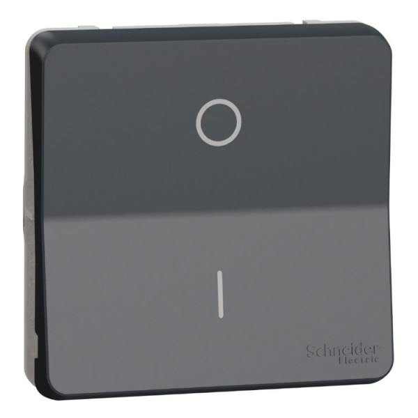 Kapcsoló s 2p grafit IP55