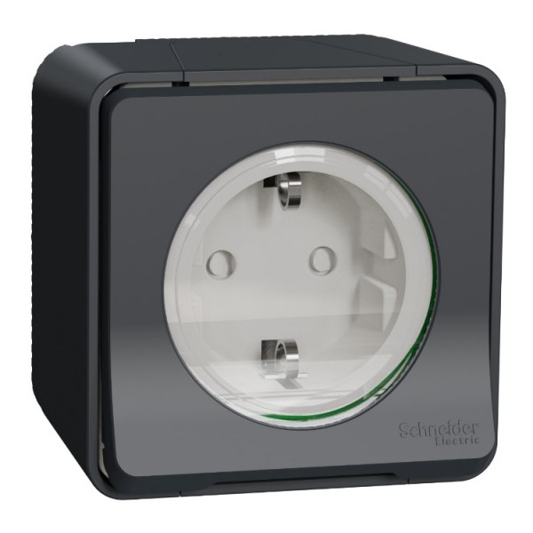 Dugalj fk 2p+f grafit IP55