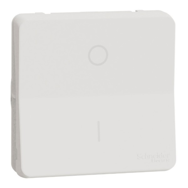 Kapcsoló s 2p fehér IP55