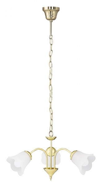 Függeszték E14 40Wx3 arany RAFAELLO