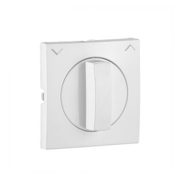 Fedlap forgócsapos nyomógomhoz